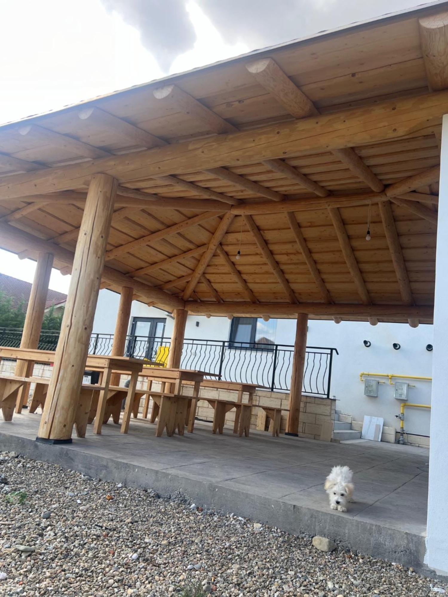 Villa Class Sînmartin Εξωτερικό φωτογραφία